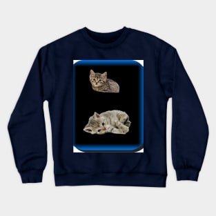 kittens Crewneck Sweatshirt